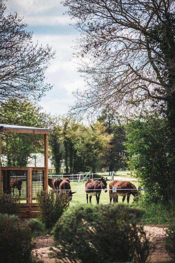 Le Village De Cottages - Le Pole Du Cheval Et De L'Ane Lignières 외부 사진